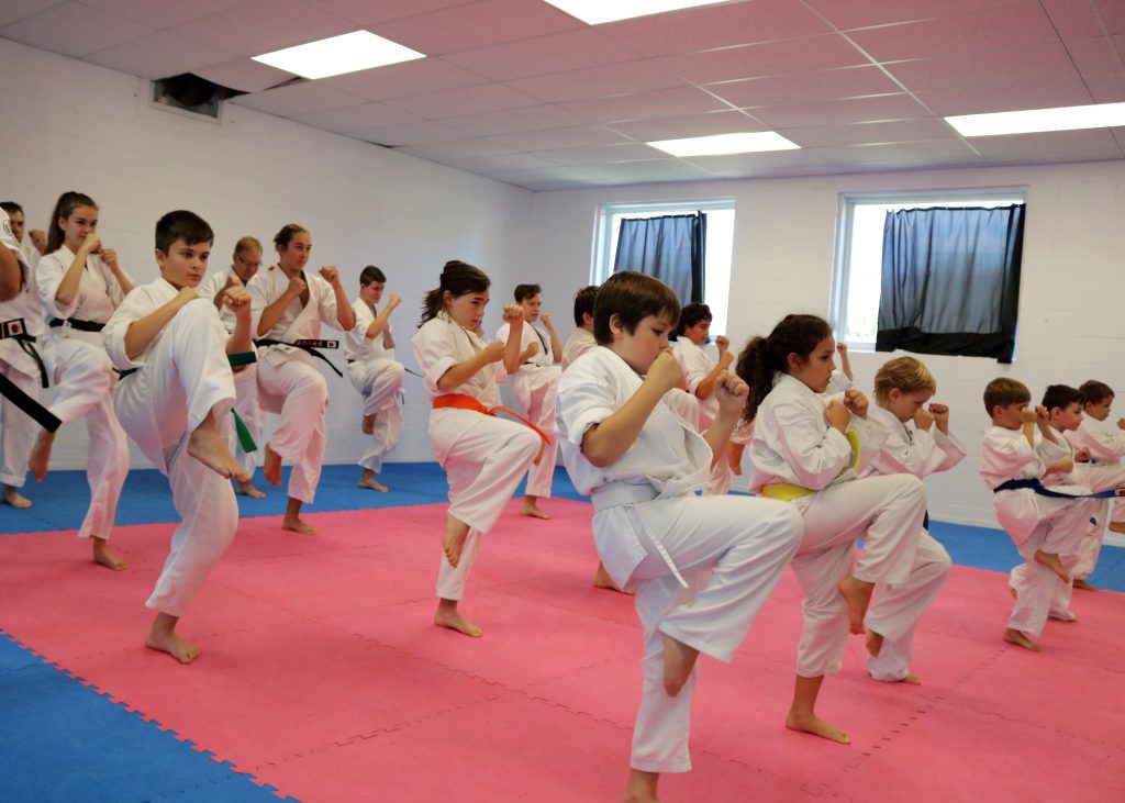 Protège-poitrine Karaté Enfant/adolescent 6-12 Ans - Polyester Renforcé - Rembourrage Absorbant - Réglable - Pour Taekwondo, Kickboxing, Arts Martiaux